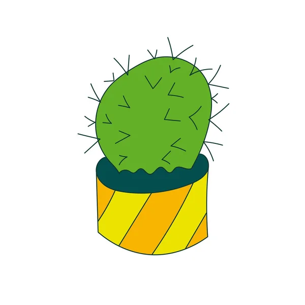 Illustration of cactus. Vector. Cacti — Stock Vector