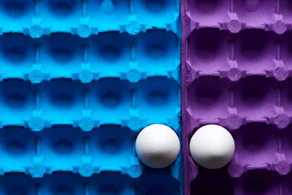 White eggs in carton container colored blue and purple