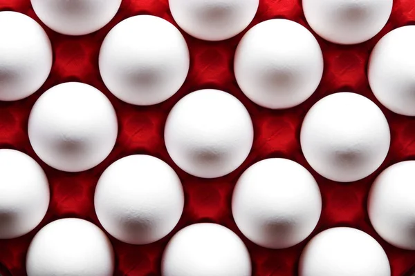 White eggs pattern in red colour carton pack direct above view