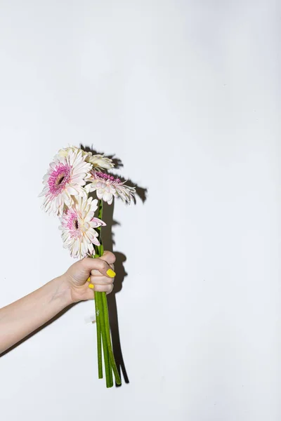 human hand hold flowers