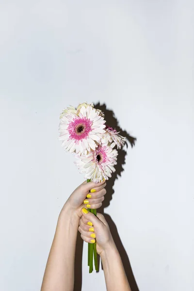 human hands hold flowers