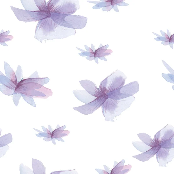 Gentle spring background, violet flowers pattern. Watercolor violet flowers, hand-drawn, isolated on white background. Seamless backdrop