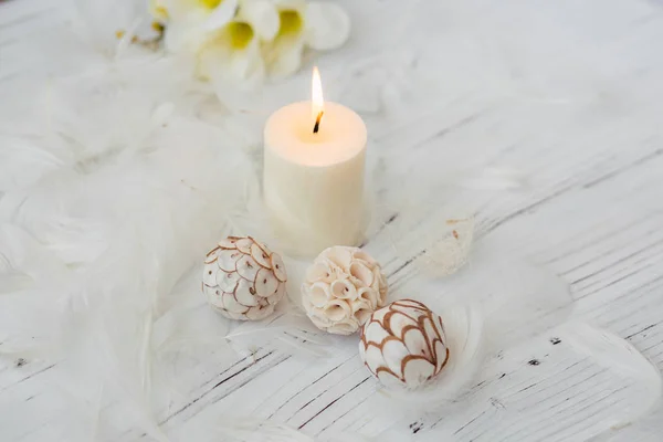 Svíčka bílá palm s přírodní dekorace pro wellness — Stock fotografie