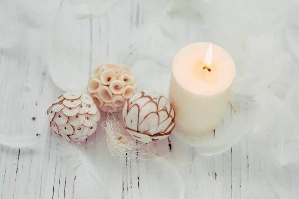 Beyaz palm mum spa için doğal dekorasyon ile