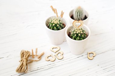 Ahşap ve doğal ip ile kalpleri kaktüsler seviyorum