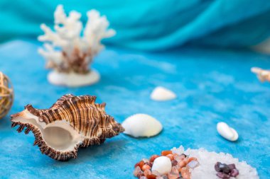 Spa ve rahatlama için dekorasyon. Deniz öğeleri. Taşlar