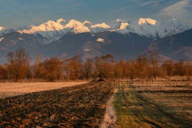 Gün batımı ışık sürülmüş alana