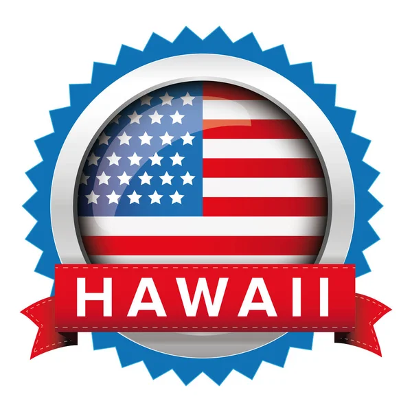 Hawaii und usa flag badge vektor — Stockvektor