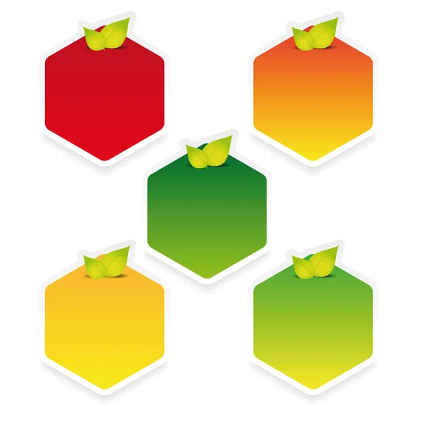 Étiquette hexagonale vide avec feuilles — Image vectorielle