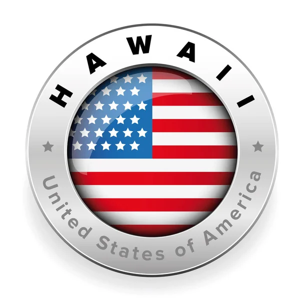 Schaltfläche "Hawaii Usa Flagge Abzeichen" — Stockvektor