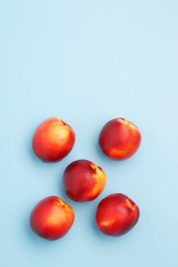Mavi arka planda birkaç olgun kırmızı nektarin.