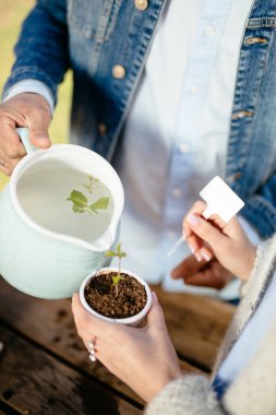Gündelik giysiler içinde güzel bir çift bir bitki tutuyor. Tabletlerdeki Kiril isimleri