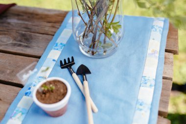 Bahçıvanlık aletleri, sulama tenekesi, tohumlar, bitkiler ve eski ahşap masadaki toprak. Bahçe konseptine bahar.