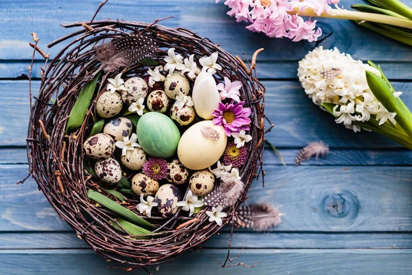 Nest Easter Eggs Flowers Blue Wooden Background Top View — Stock Photo, Image