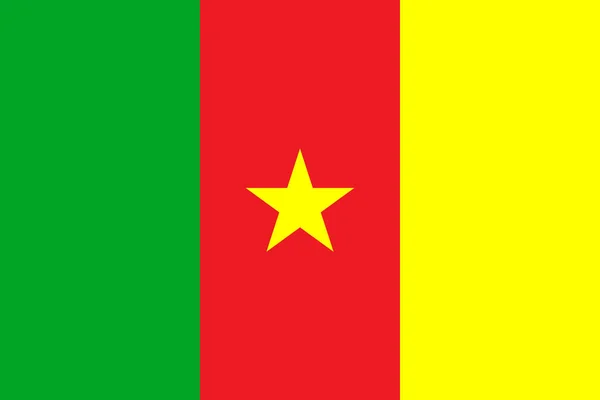 Prachtvolles Design Der Flagge Des Landes Kamerun — Stockvektor