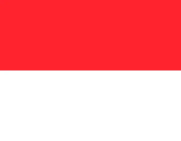 Nagy Design Élénk Színek Indonézia Zászlaja — Stock Vector