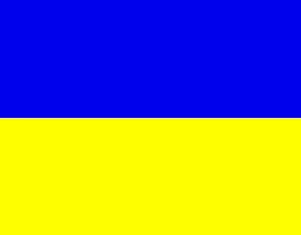 Grande Design Nei Colori Vivaci Della Bandiera Dell Ucraina — Vettoriale Stock