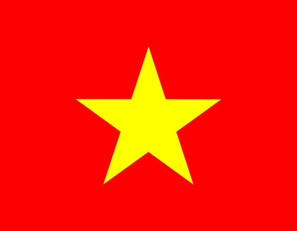 Gran Diseño Los Colores Brillantes Bandera Vietnam — Vector de stock