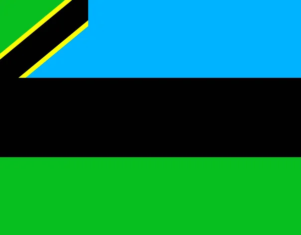 Grande Design Nei Colori Vivaci Della Bandiera Dello Zanzibar — Vettoriale Stock