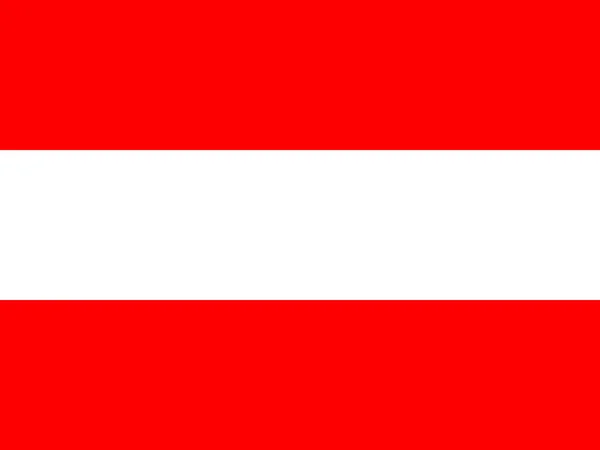 Csodálatos Design Ausztria Zászlaja — Stock Vector