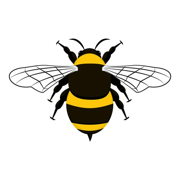 Schönes Schlichtes Design Einer Gelb Schwarzen Biene Auf Weißem Hintergrund — Stockvektor