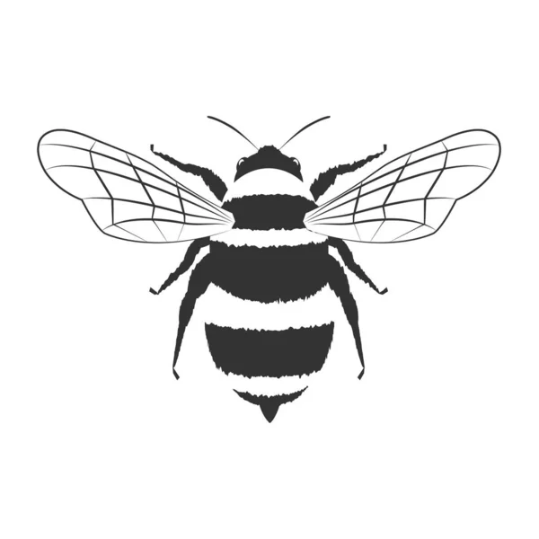Cudowna Pszczoła Czarno Biały Wzór Odizolowany Białym Tle — Wektor stockowy