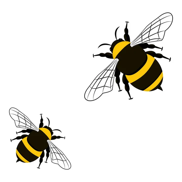 Abejas Miel Aisladas Sobre Fondo Blanco — Vector de stock