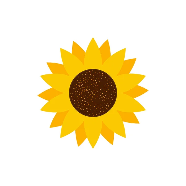 Sunflower Απομονωμένη Διανυσματική Απεικόνιση Απομονωμένη Στο Λευκό Φόντο — Διανυσματικό Αρχείο