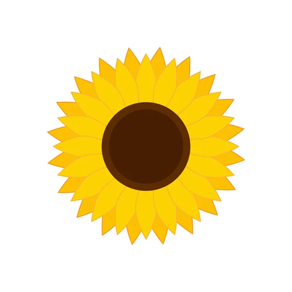 Sunflower Flower Isolated Vector Illustration Isolated White Background — Stock Vector