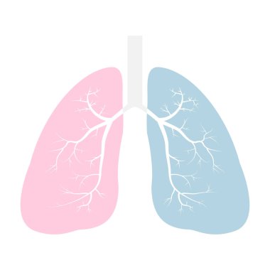 Akciğerler ikon vektör çizimi, pembe ve mavi düz stil. İnsan tasarım elementinin iç organları. Anatomi, tıp konsepti. Sağlık hizmetleri beyaz arkaplanda izole edildi.