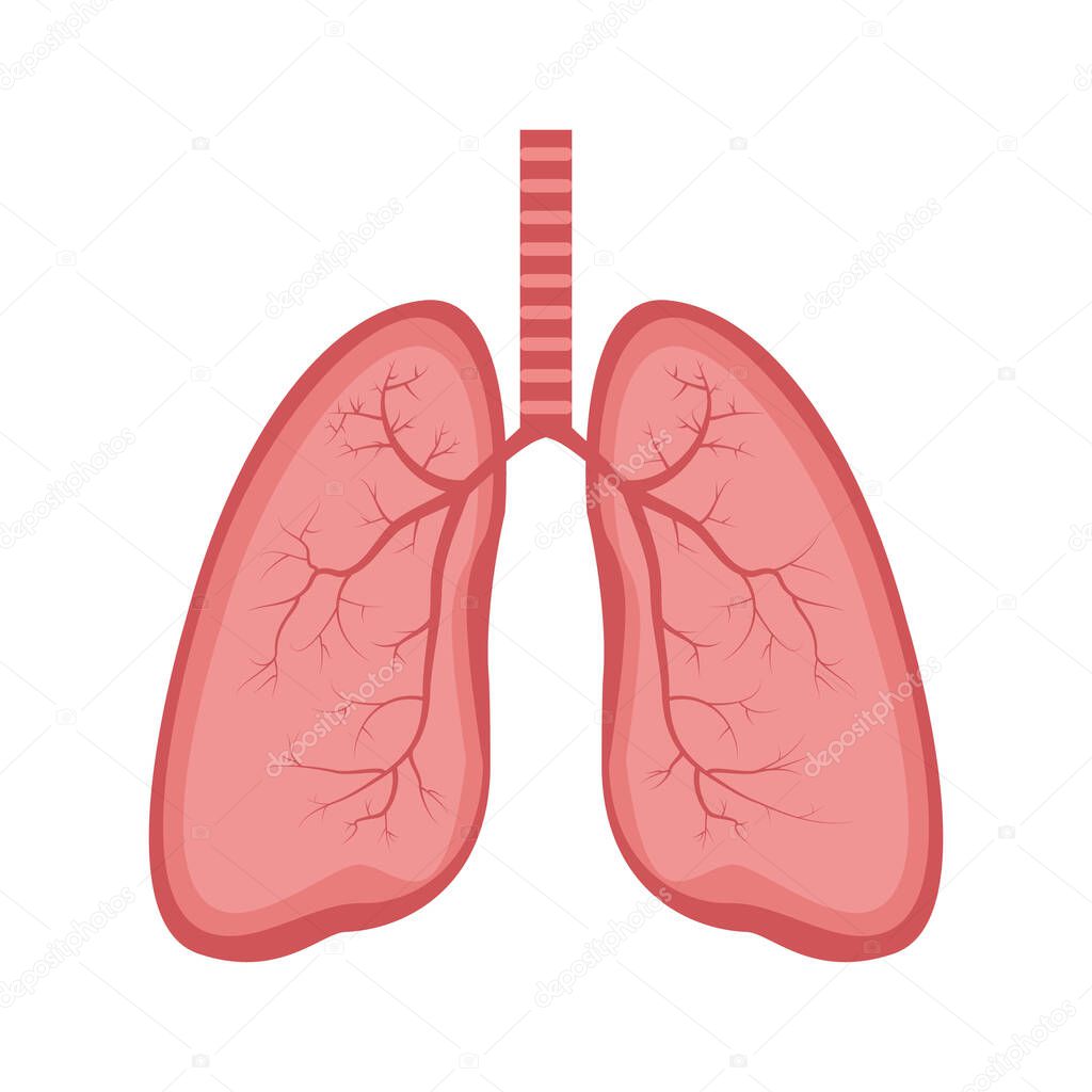 Lungs icon vector illustration, flat style. Internal organs of the human design element. Anatomy, medicine concept. Healthcare Isolated on white background.