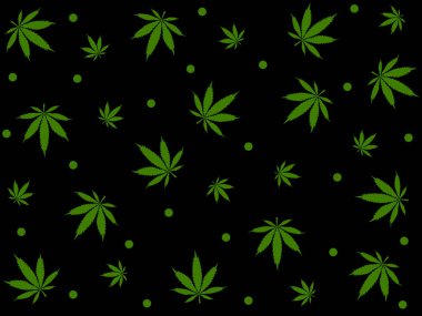 Esrar geride iz bırakır. Marihuana vektörü dikişsiz desenli bitki çizimi