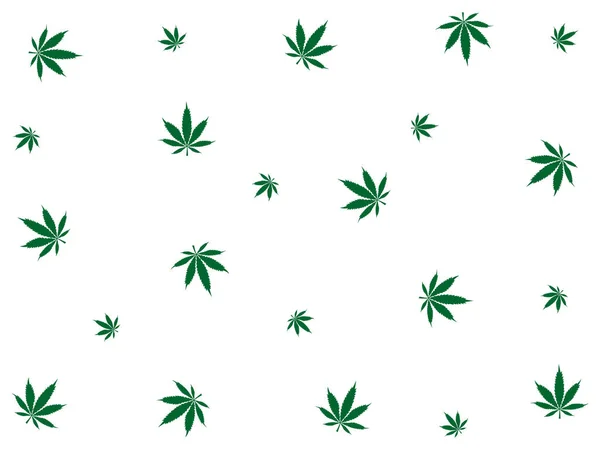 Cannabis Leaves Pattern Background Marijuana Vector Seamless Pattern Engraving Plant — Stock Vector