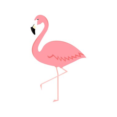 Flamingo karikatür vektör çizimi beyaza izole edildi