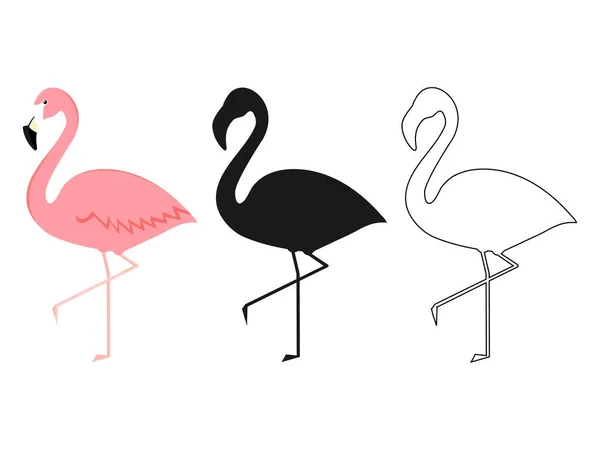 Skupina Flamingo Různých Pózách Kreslené Vektorové Ilustrace Izolované Bílém — Stockový vektor