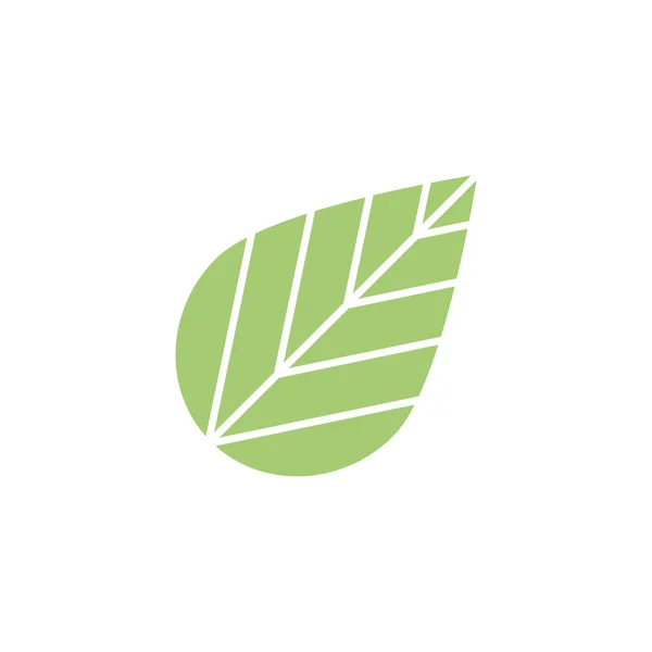 Blatt Symbol Isoliert Auf Weiß Logo Eco Zeichen — Stockvektor