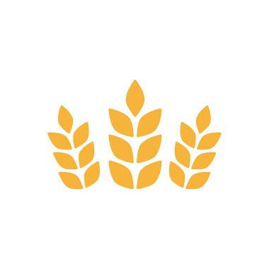 Buğday illüstrasyonunun tarım kulakları beyaza izole edilmiş