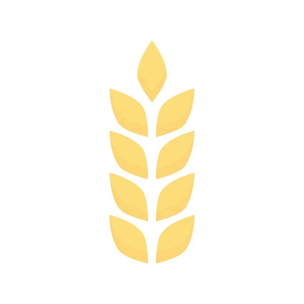 Сільське Господарство Вуха Пшеничної Ілюстрації Ізольовані Білому — стоковий вектор