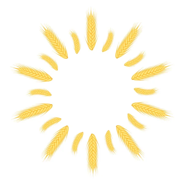 从白色背景中分离出来的小麦插图的耳朵中发出的花环 — 图库矢量图片