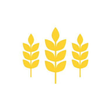 Buğday illüstrasyonunun tarım kulakları beyaza izole edilmiş. Tahıl logosu sembolü. 
