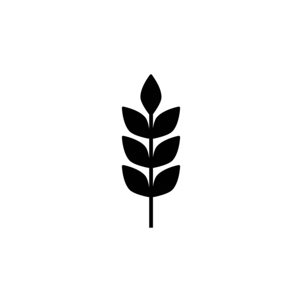 Зерновий Значок Вуха Пшеничної Ілюстрації Ізольовані Білому — стоковий вектор
