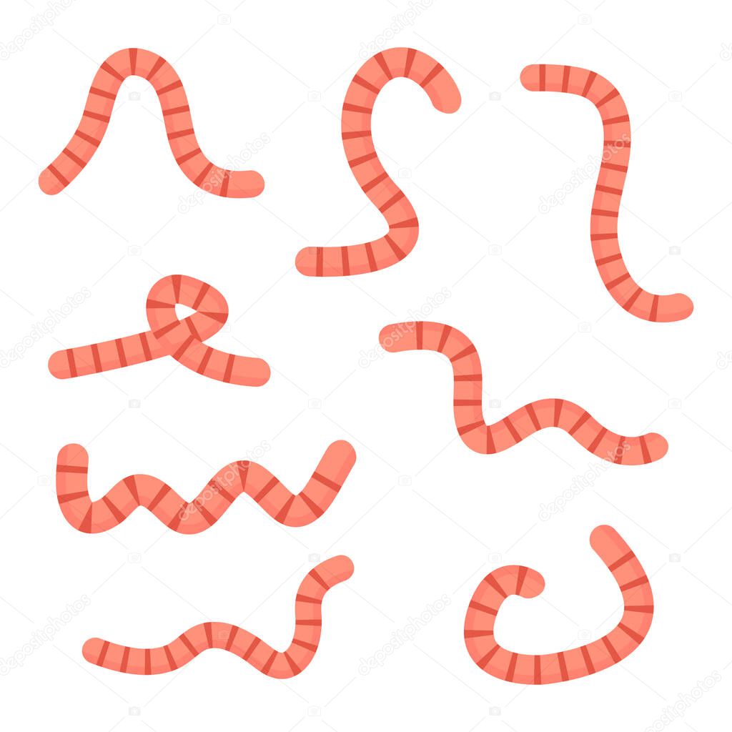 Earthworms crawling set. Vector worm cartoon illustration isolated on white background.