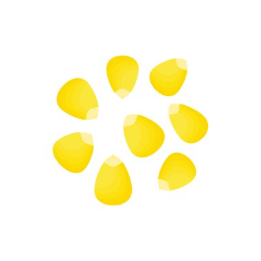 Beyaz arkaplanda izole edilmiş mısır tohumları vektör çizimi.