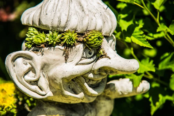 Bahçe Bahçe ek üzerinde büyüyen etli bitkiler