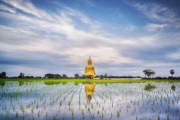 Grande statue de bouddha d'or avec reflet — Photo