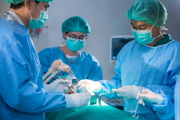 Grupa lekarza weterynarii na chirurgii — Zdjęcie stockowe