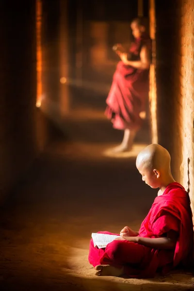 Novice monk reading book — Stock Photo, Image
