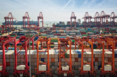 Shanhai tranfer konteyner kutu Singapur hub'ına