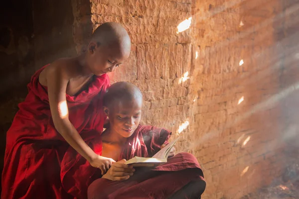 Νέοι βουδιστής μοναχός αρχάριος ανάγνωση και μελέτη εκτός Μονής — Φωτογραφία Αρχείου