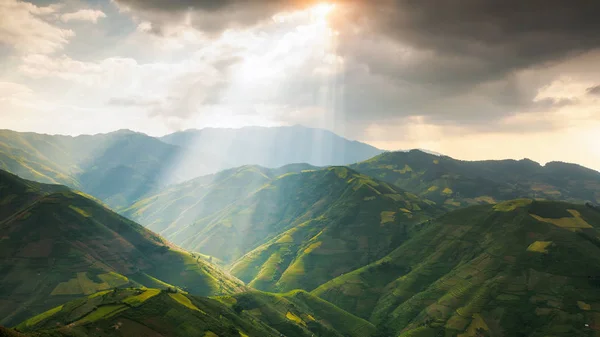 Kuzey Vietnam, hasat pirinç tarlaları hazırlamak — Stok fotoğraf